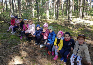 dzieci z grupy VI w lesie siedzą na pniu powalonego drzewa